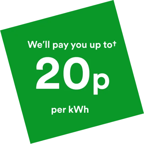 We'll pay you 20p per kWh