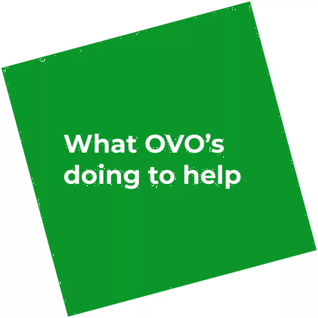 What OVO's doing to help