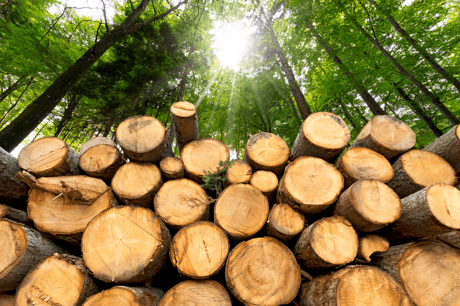 Biomass energy