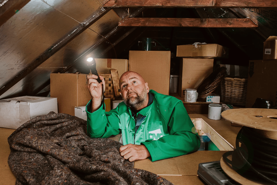 OVO engineer in loft