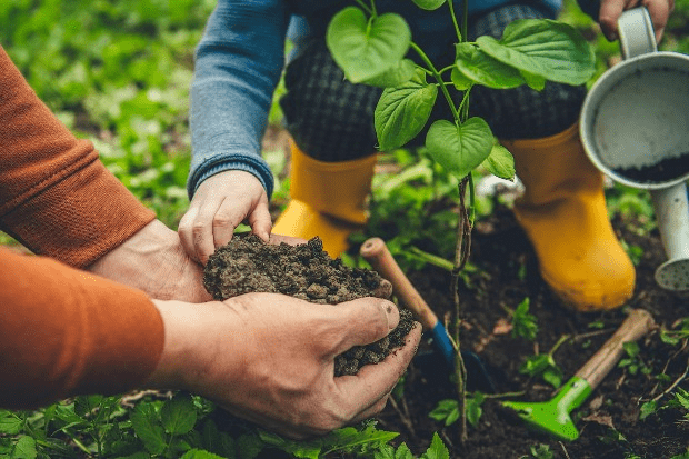 planting trees with kids