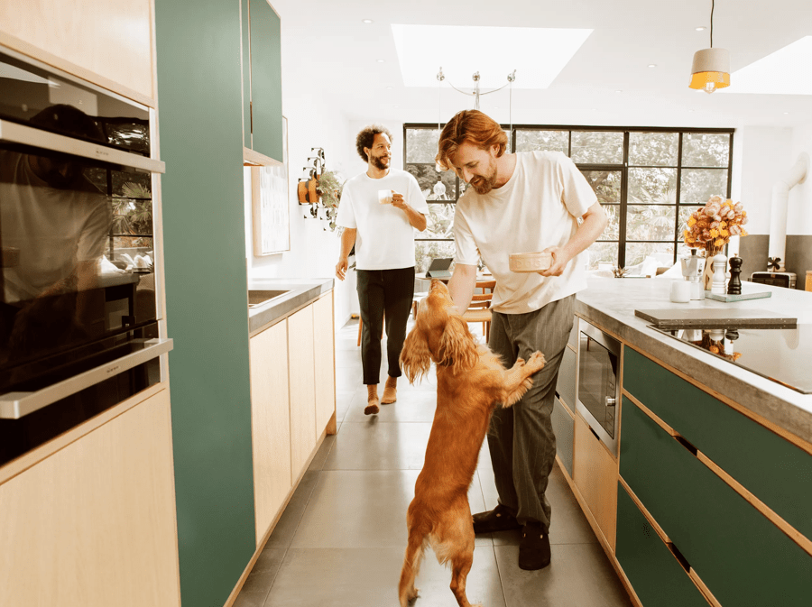 dog jumping up at a bowl of food in a kitchen 