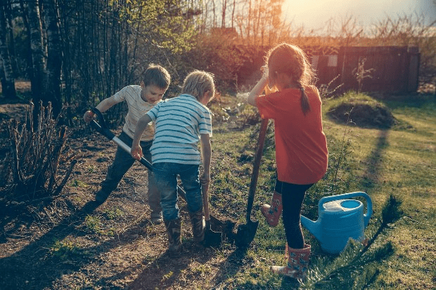 benefits of planting trees