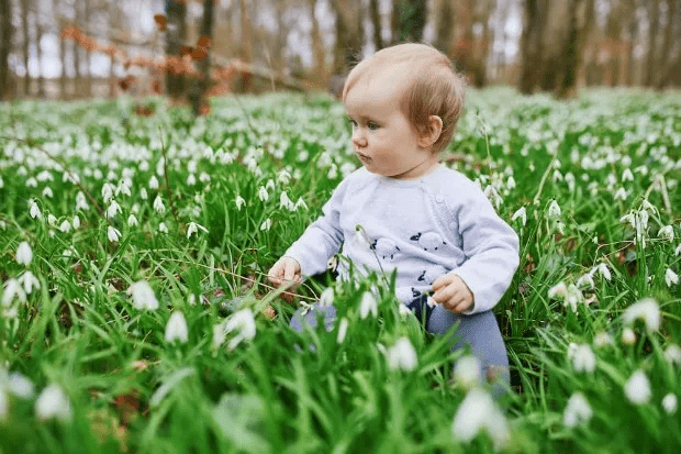 Baby sitting in a field of snowdrops