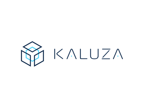 kaluza tech startup