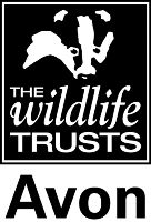 OVO Gives Back 2017/2018 Wildlife trust Avon