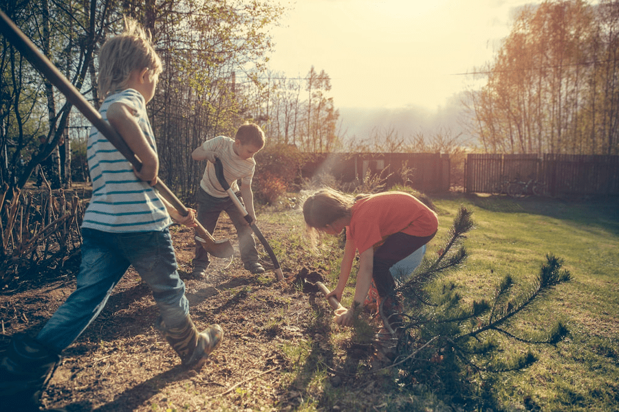 kids trees gardening planting children