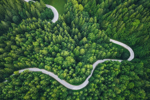 benefits of tree planting