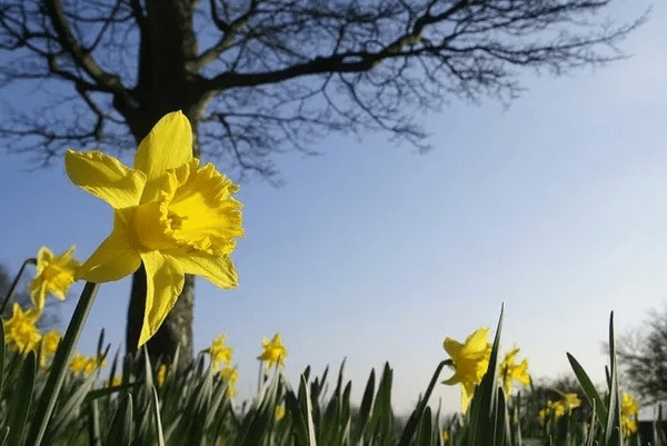 Your spring energy to-do list