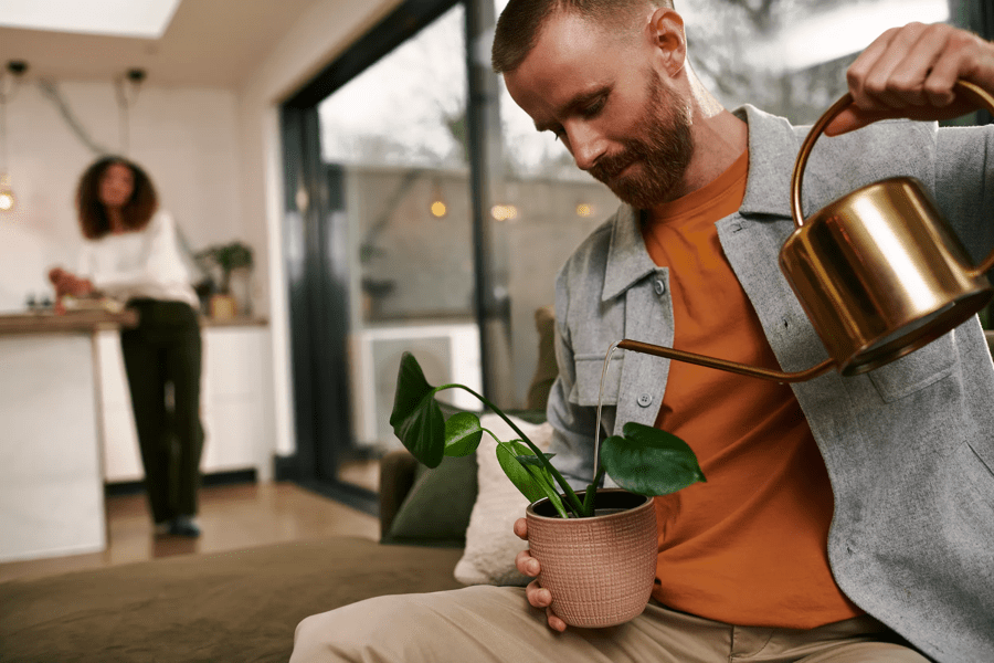 Man waters plant in kitchen