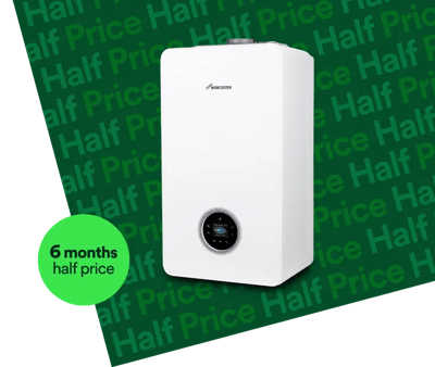 Boiler with 6 months half price stamp