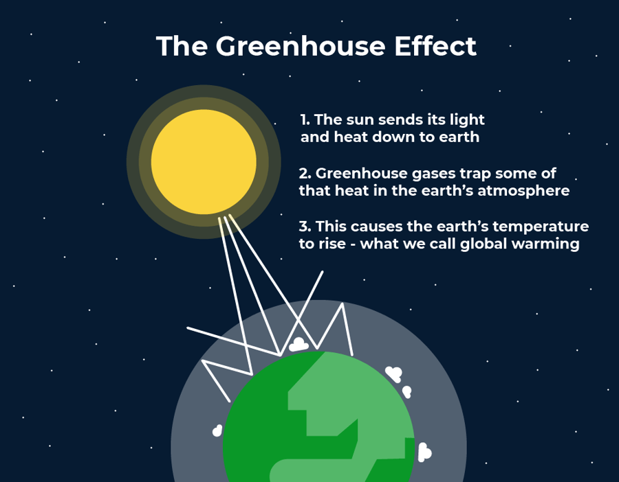 What Are Greenhouse Gases And The Greenhouse Effect Ovo Energy