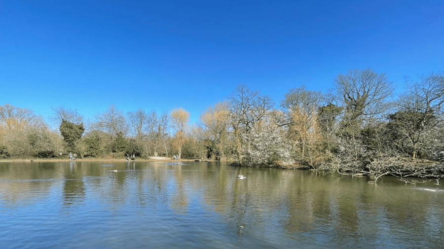 Tooting Bec Common, London