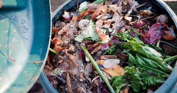Create your own compost